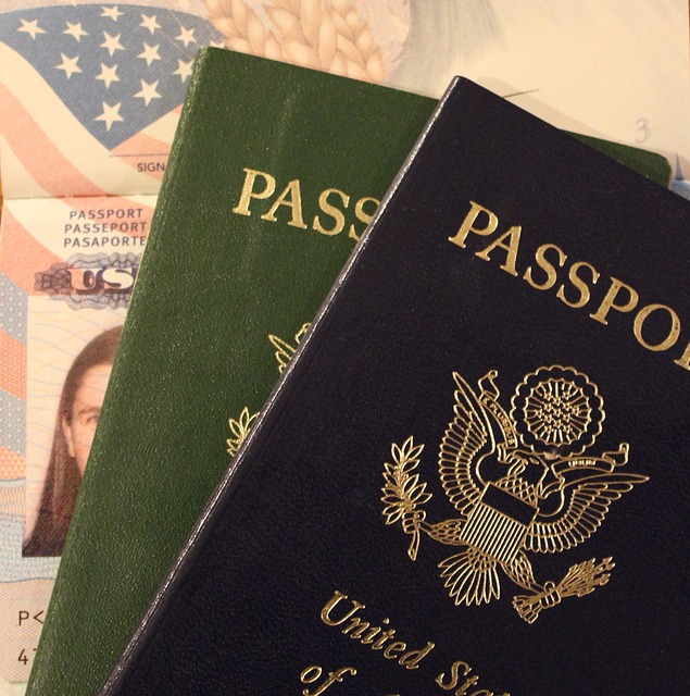 pasy usa